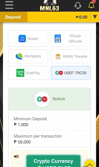 Step 1: Choose the cryptocurrency payment method – USDT TRC20.