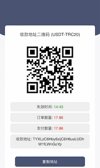 Step 4: Make a QR scan payment using the USDT TRC20 method.