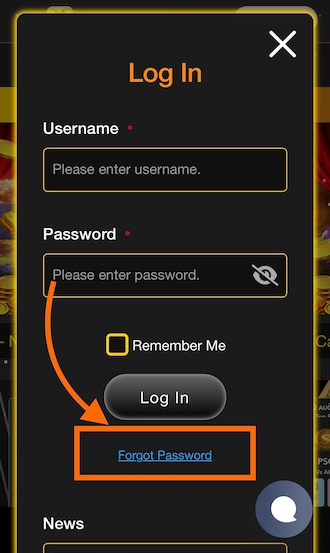 Step 2: the player clicks on "Forgot Password".