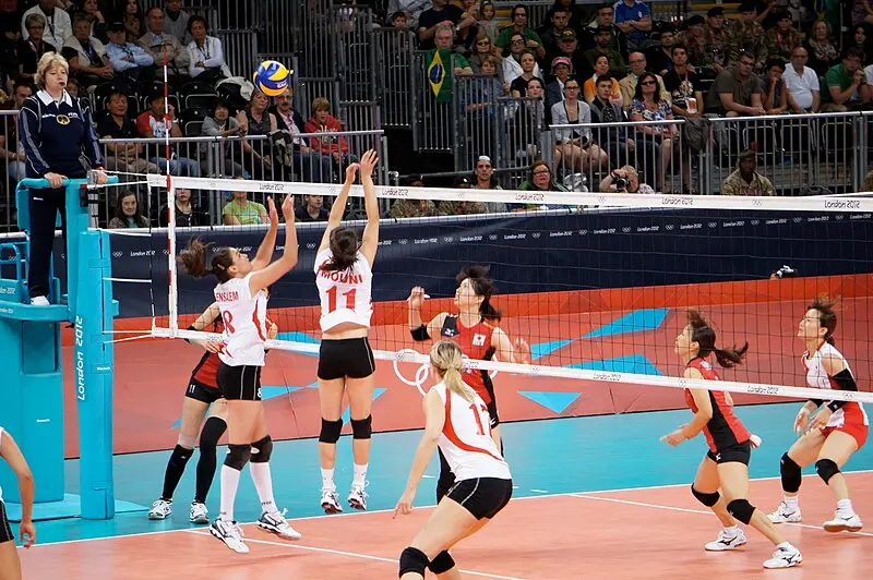 How to bet on volleyball for each type of bet