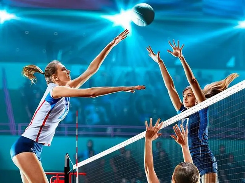 How to bet on volleyball and experience from experts